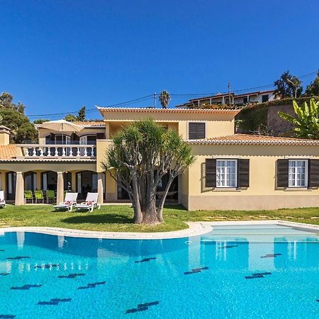 Vila Eucalipto by Travel to Madeira Funchal  Exterior foto