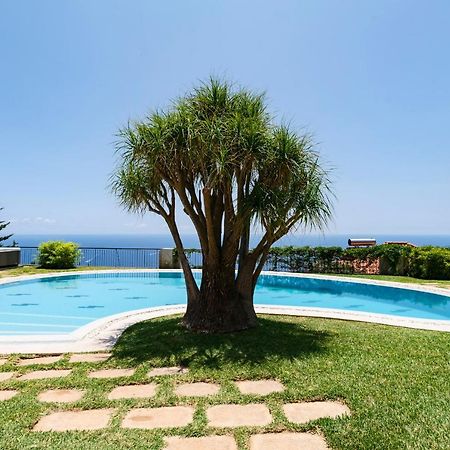Vila Eucalipto by Travel to Madeira Funchal  Exterior foto
