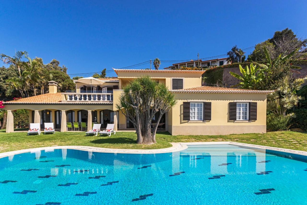 Vila Eucalipto by Travel to Madeira Funchal  Exterior foto