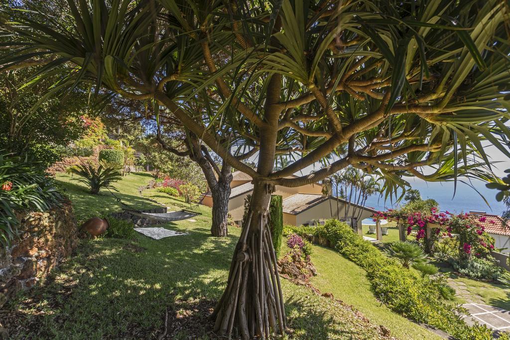 Vila Eucalipto by Travel to Madeira Funchal  Exterior foto